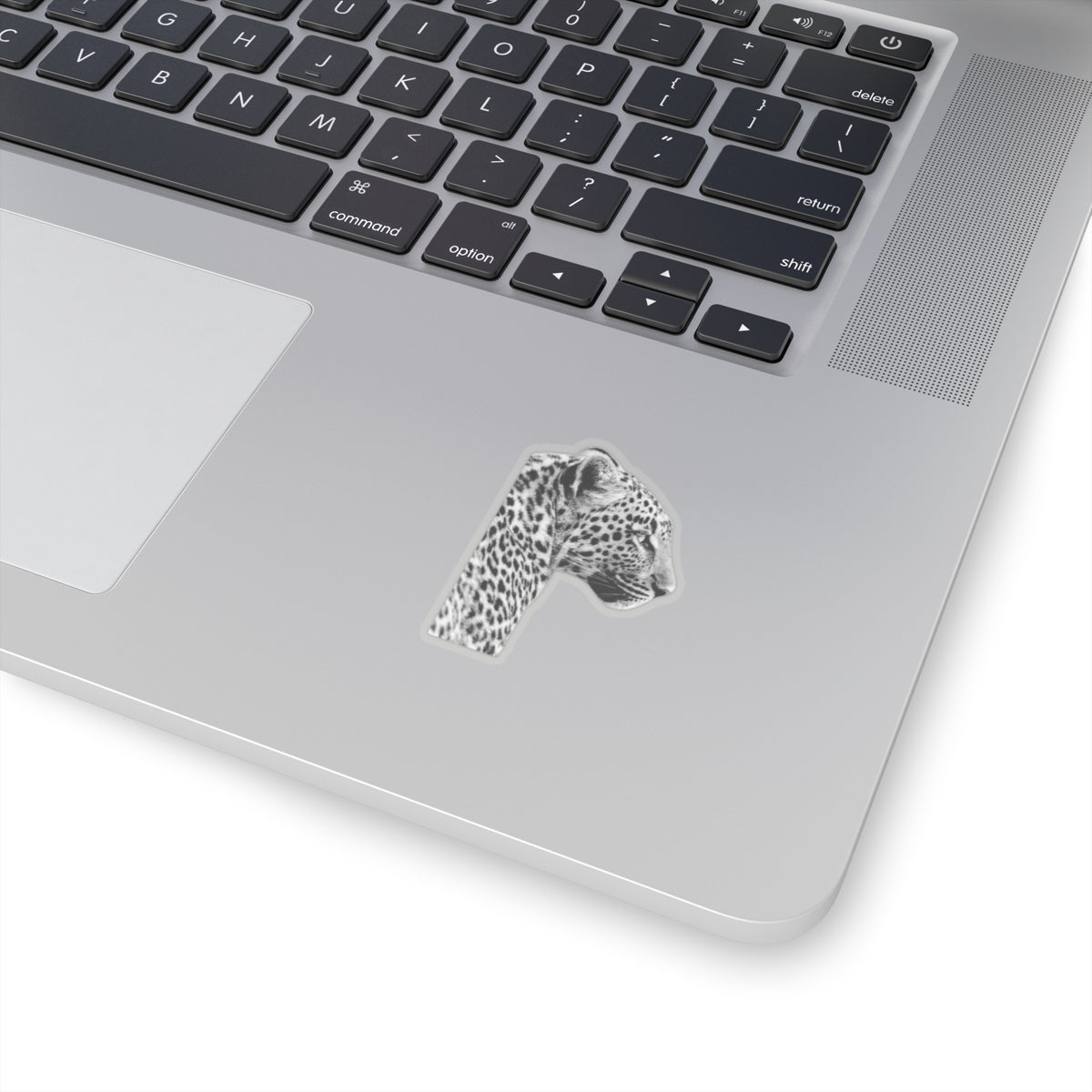 Leopard Sticker