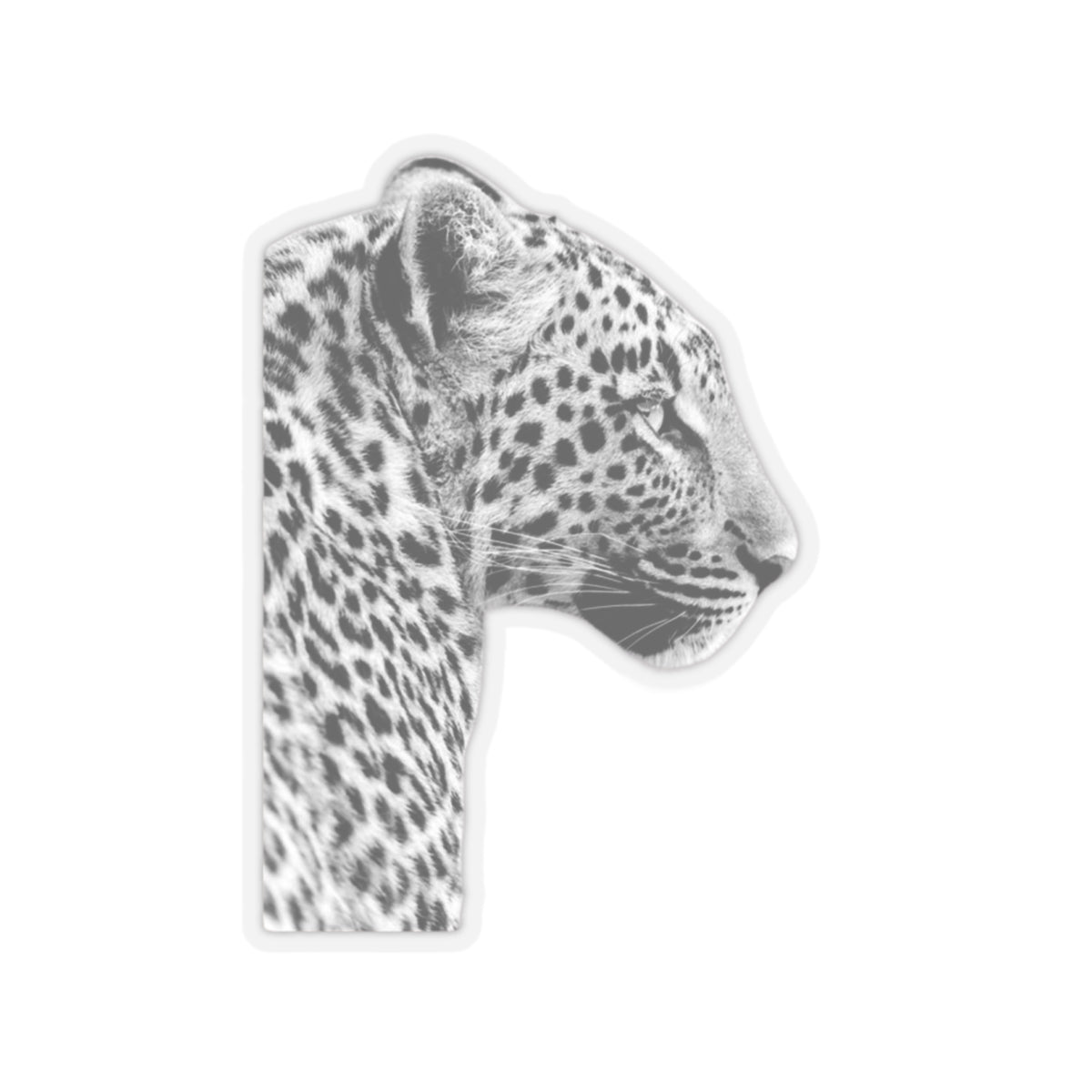 Leopard Sticker