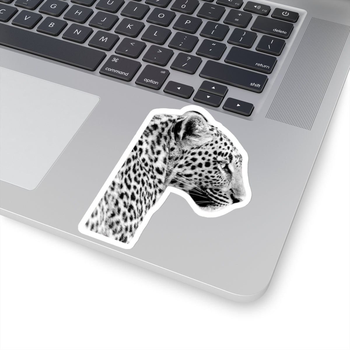 Leopard Sticker