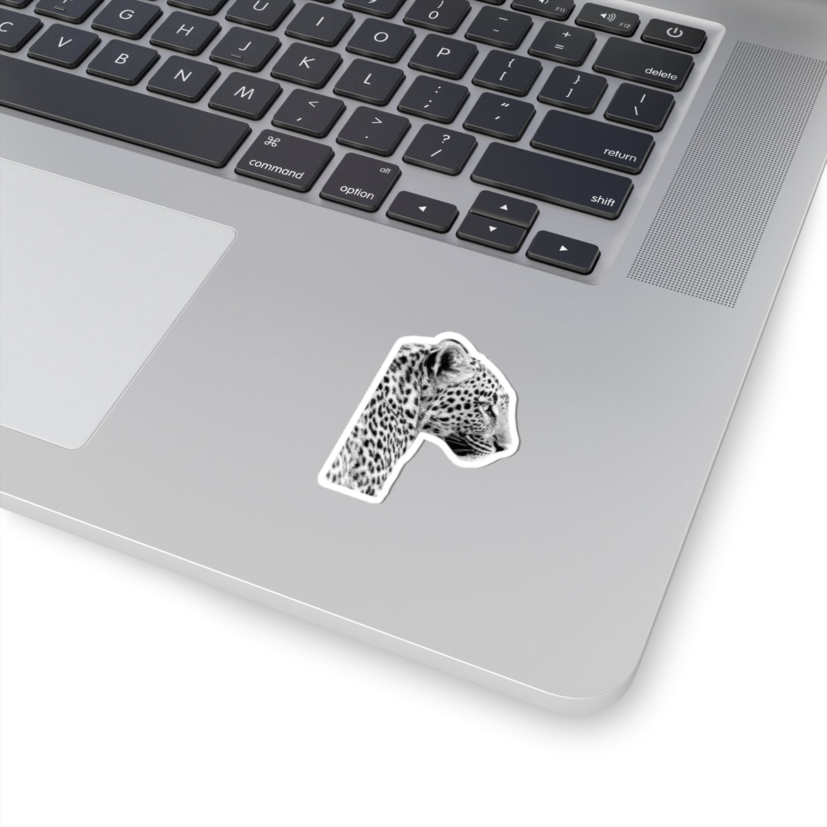 Leopard Sticker