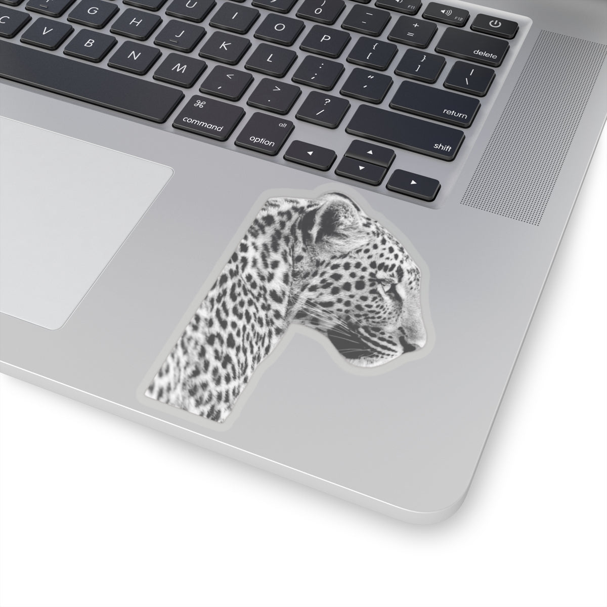 Leopard Sticker