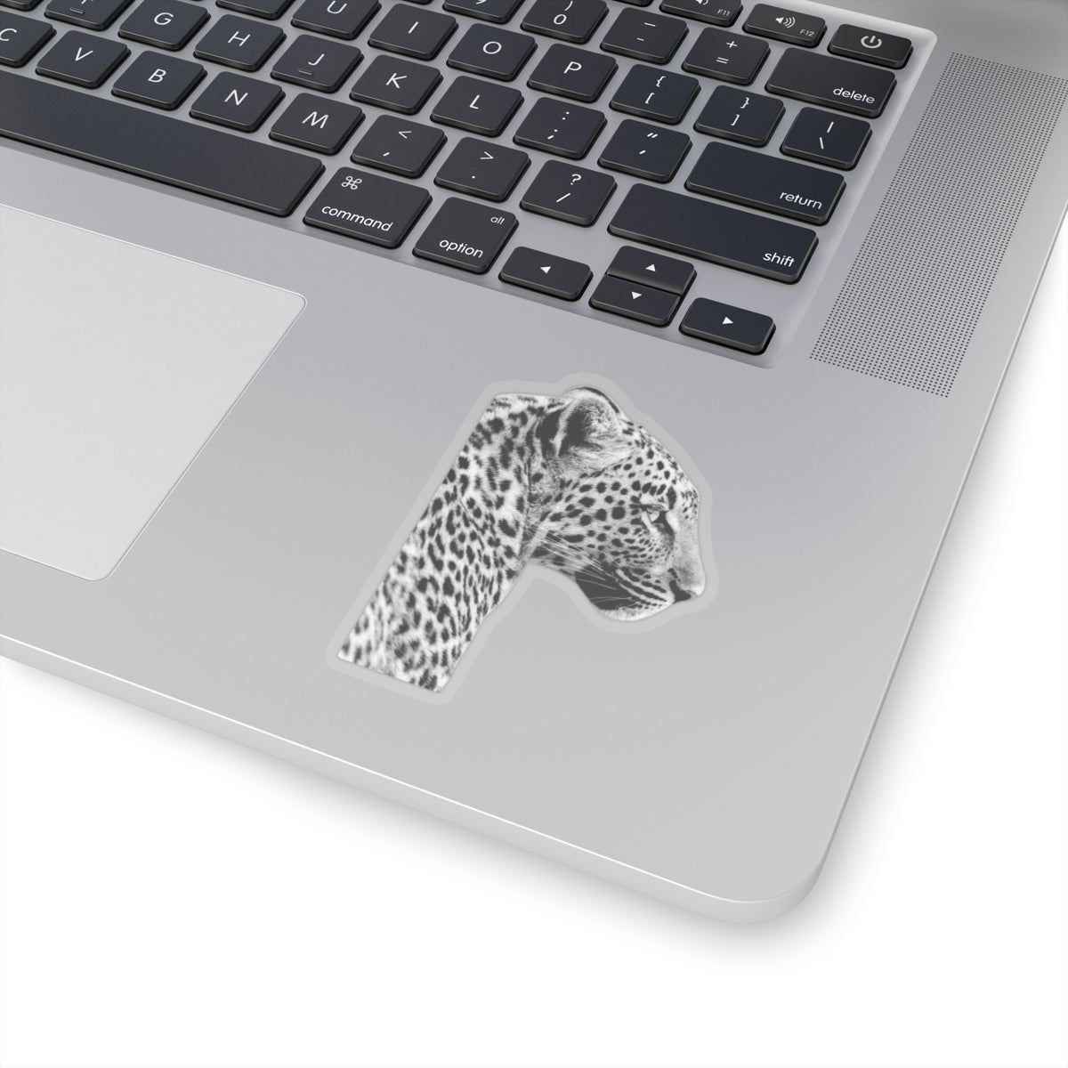 Leopard Sticker