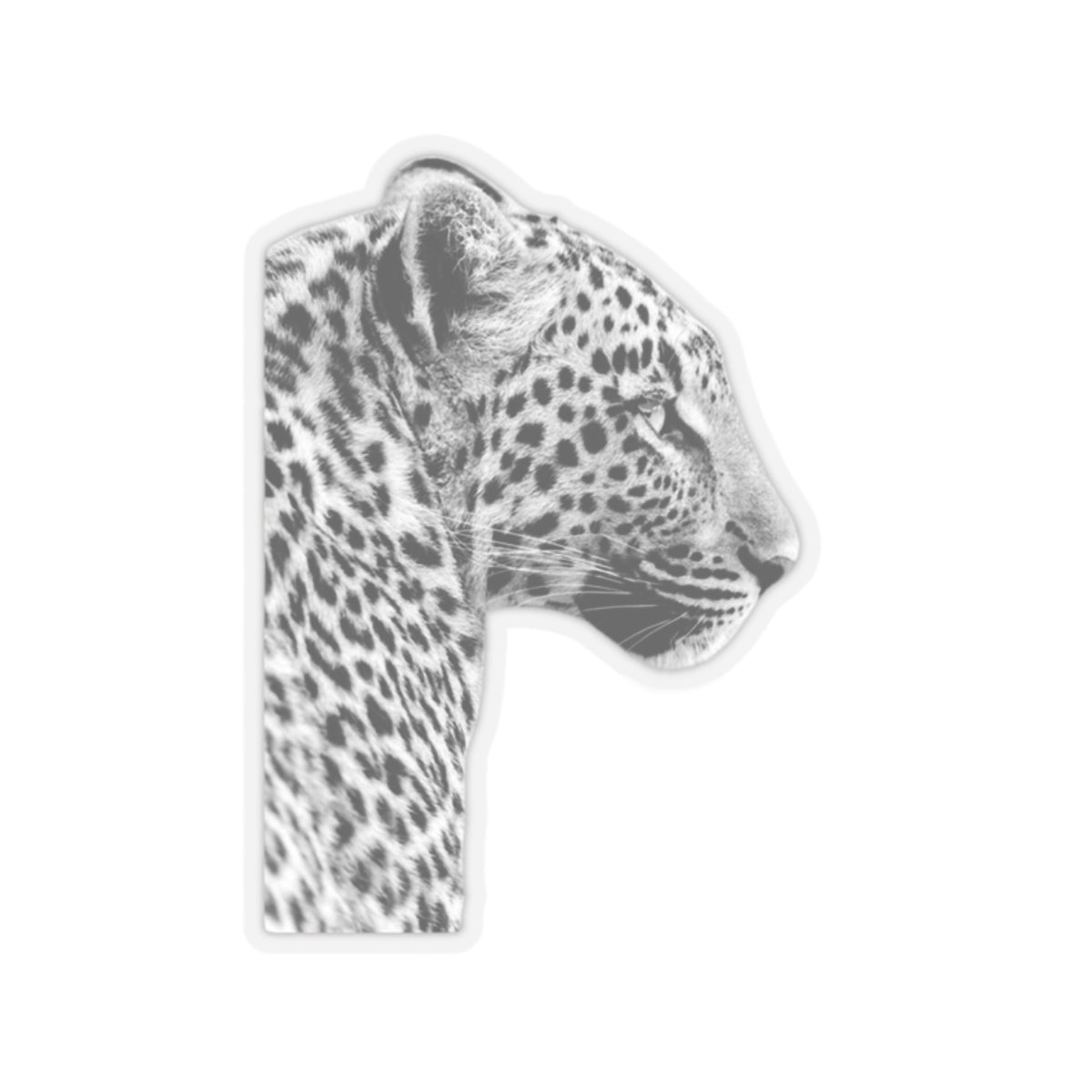 Leopard Sticker