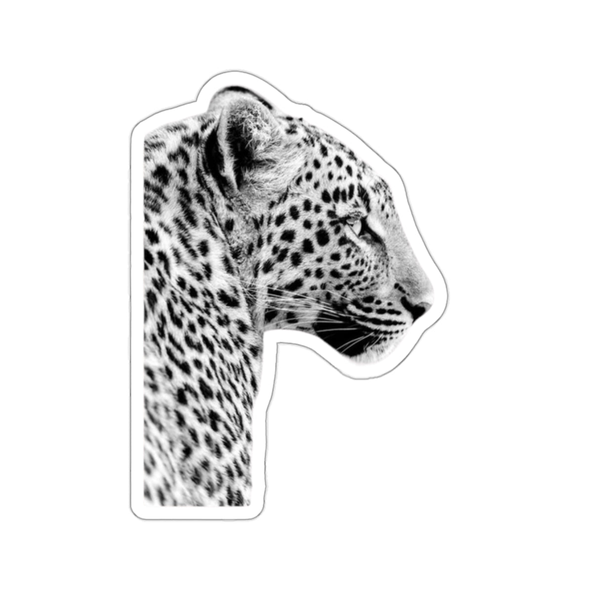 Leopard Sticker